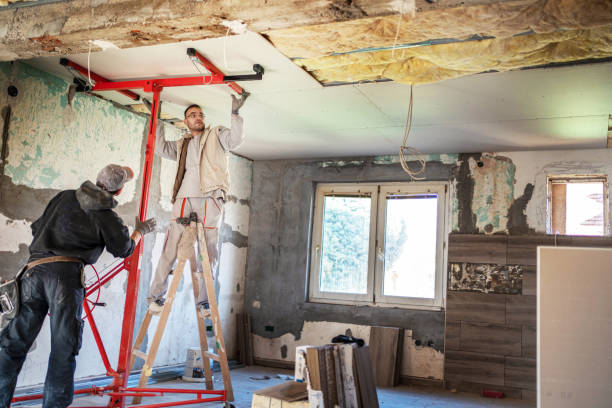Best Geographic-Specific Insulation Services in Mathews, LA